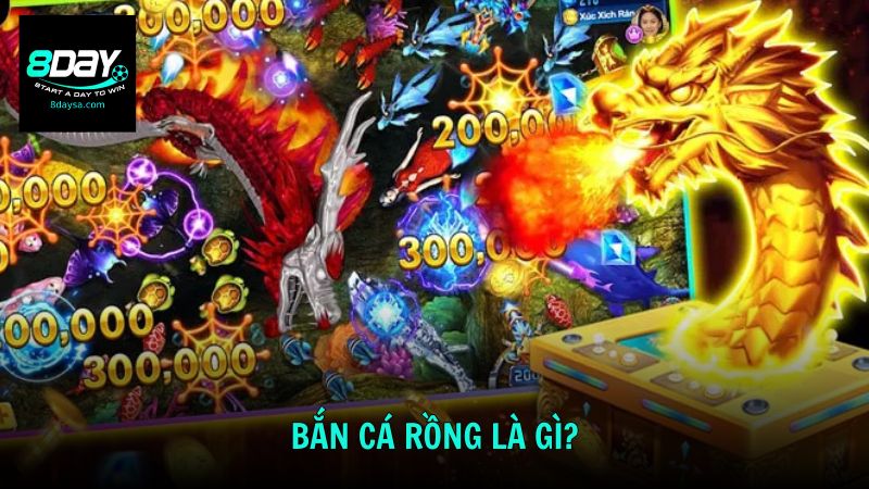 Bắn cá rồng là gì và có gì đặc biệt?