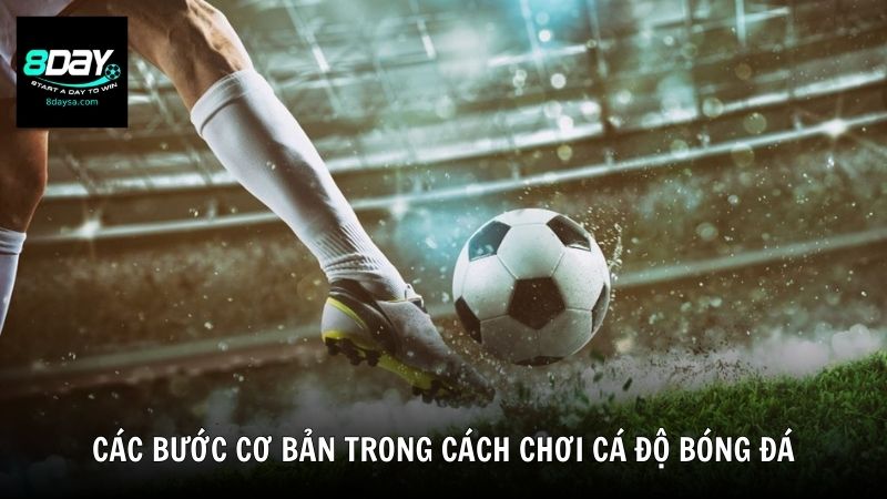 Các bước cơ bản trong cách chơi cá độ bóng đá