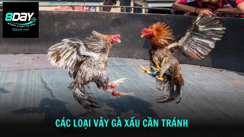 Tìm hiểu về các loại vảy gà xấu cần tránh