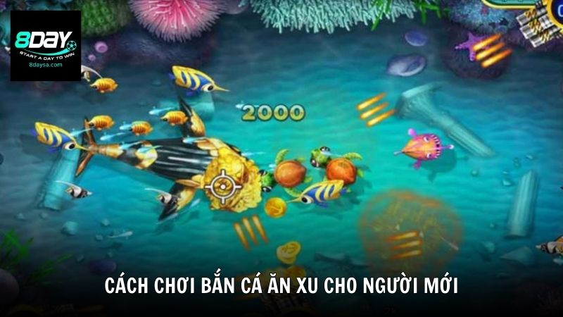 Cách chơi bắn cá ăn xu cho người mới