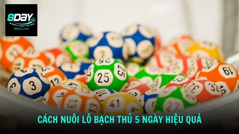 Cách nuôi lô bạch thủ 5 ngày an toàn và hiệu quả