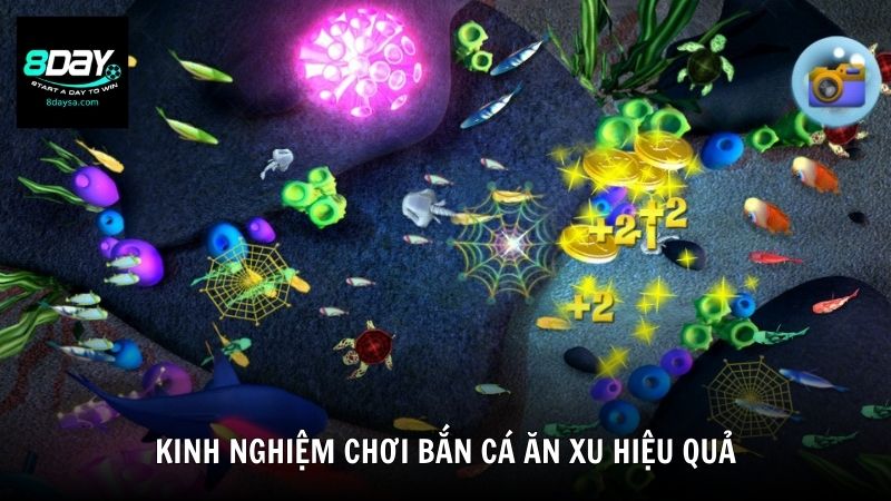 Kinh nghiệm chơi bắn cá ăn xu hiệu quả từ 8DAY