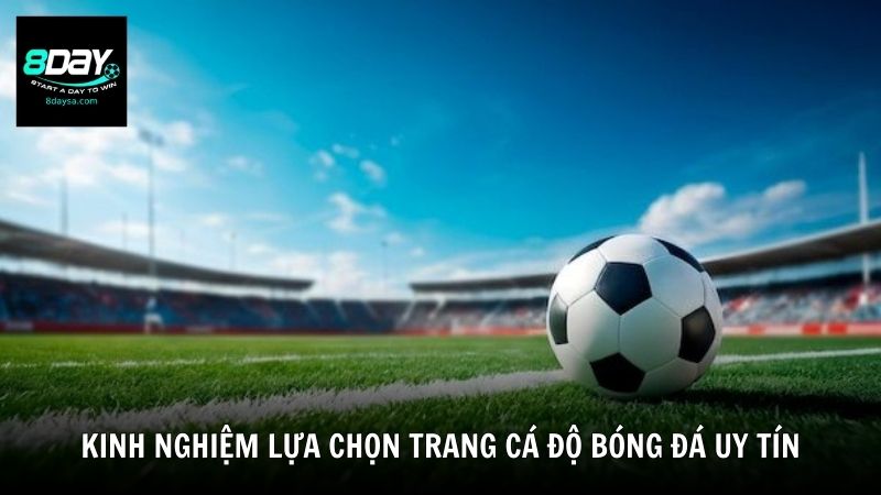 Kinh nghiệm lựa chọn trang cá độ bóng đá uy tín
