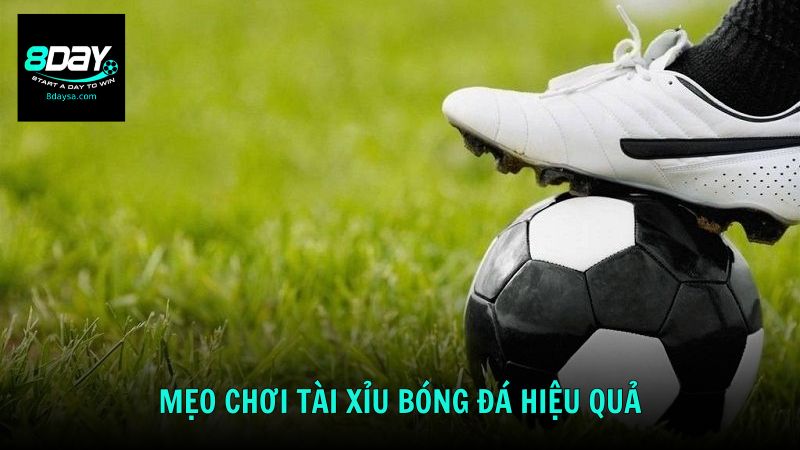 Cách chơi tài xỉu bóng đá hiệu quả từ dân chuyên