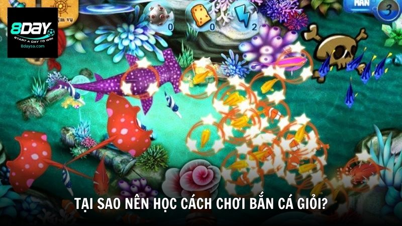 Tại sao nên học cách chơi bắn cá giỏi?