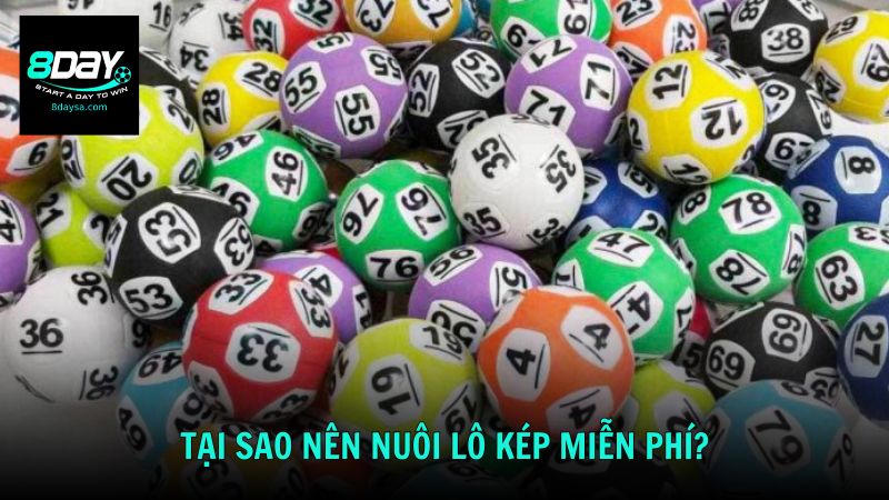 Tại sao nên nuôi lô kép miễn phí?