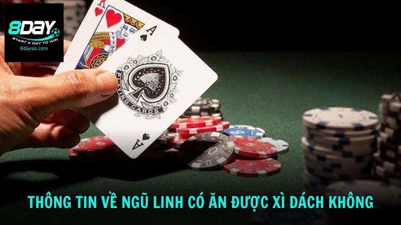 Thông tin về Ngũ Linh có ăn được Xì Dách không