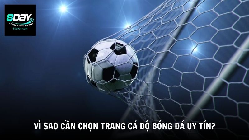 Vì sao cần chọn trang cá độ bóng đá uy tín?