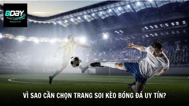 Vì sao cần chọn trang soi kèo bóng đá uy tín?
